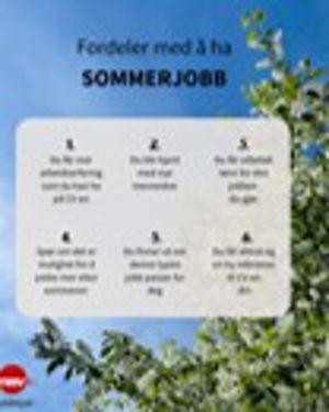 Søke jobb